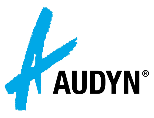 Audyn