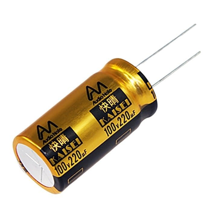 Audio Note CAP-100-R-220U-100V | 220 µF | 20% | 100 V