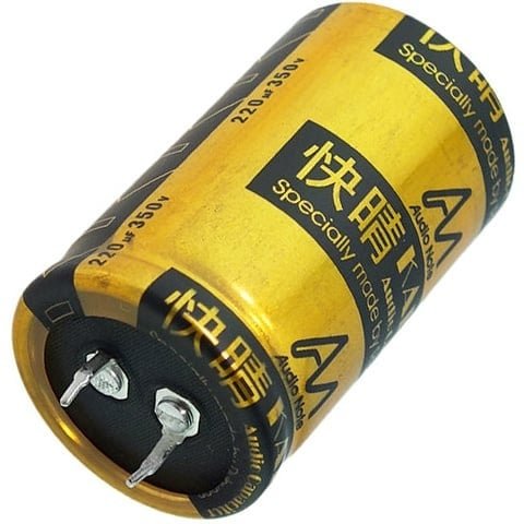 Audio Note CAP-100-R-220U-350V | 220 µF | 20% | 350 V