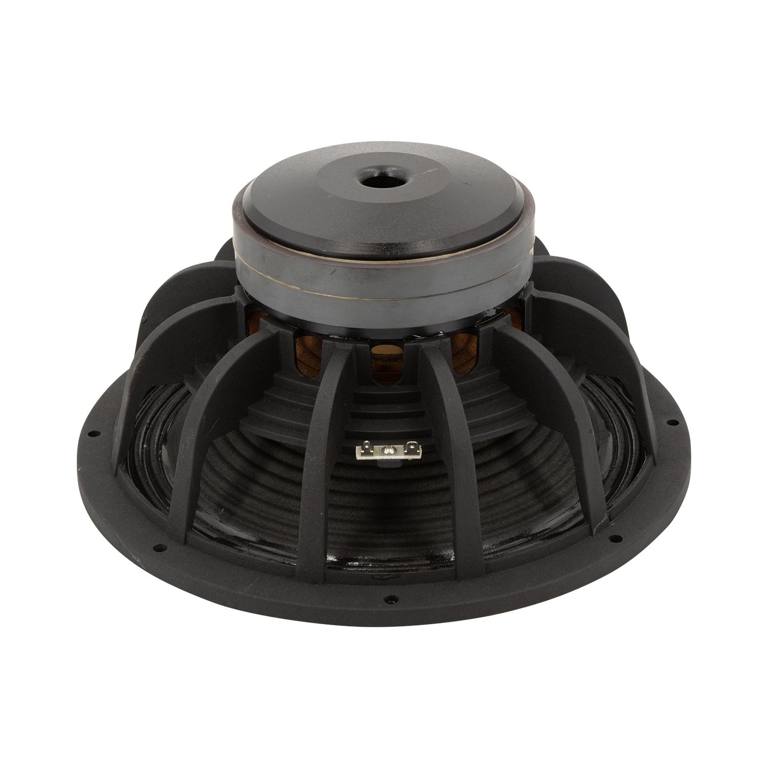 Fountek FW300B Bass-midwoofer