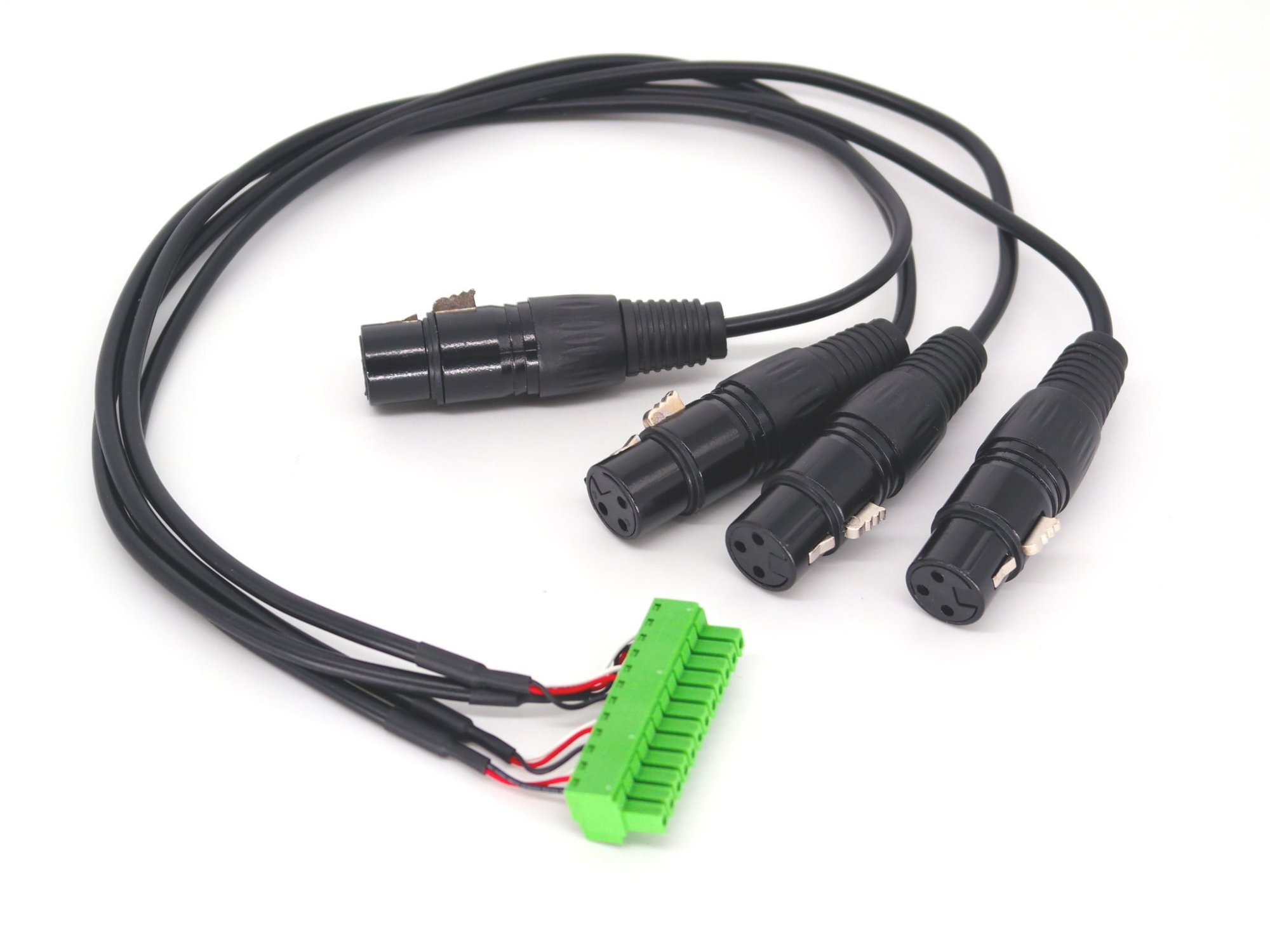 miniDSP Phoenix to XLR Female
