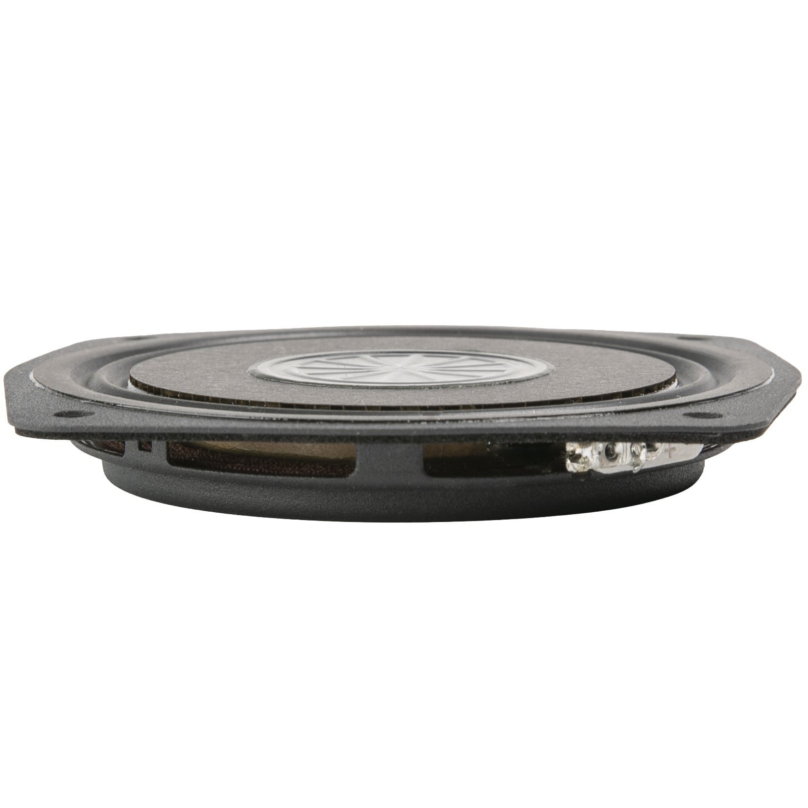 REDCATT Twiggy35 Mid woofer