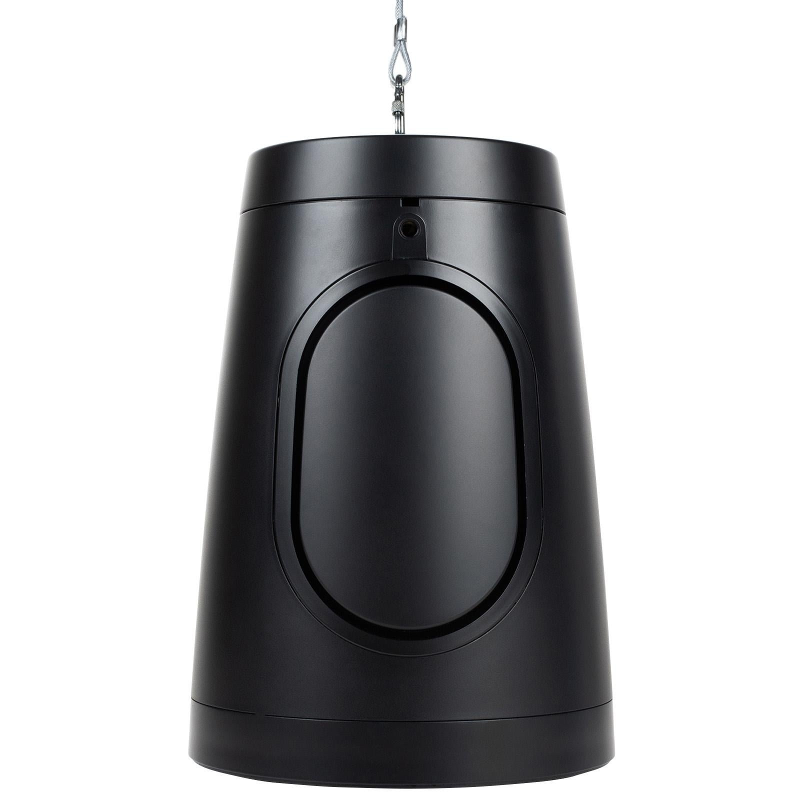 Dayton Audio WP60XTB Pendant Speaker