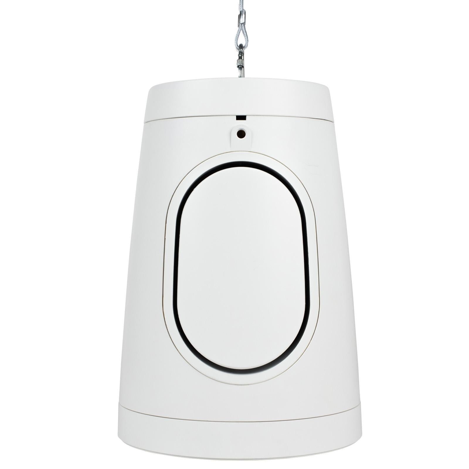 Dayton Audio WP60XTW Pendant Speaker