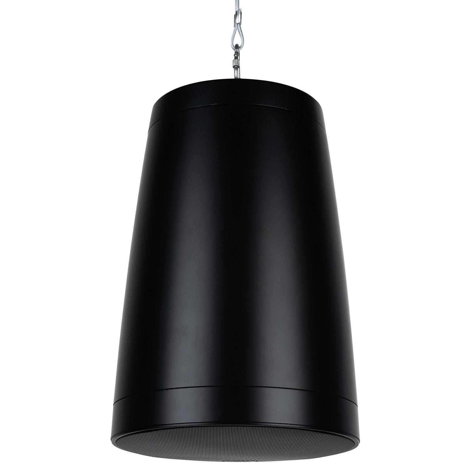 Dayton Audio WP80XTB Pendant Speaker