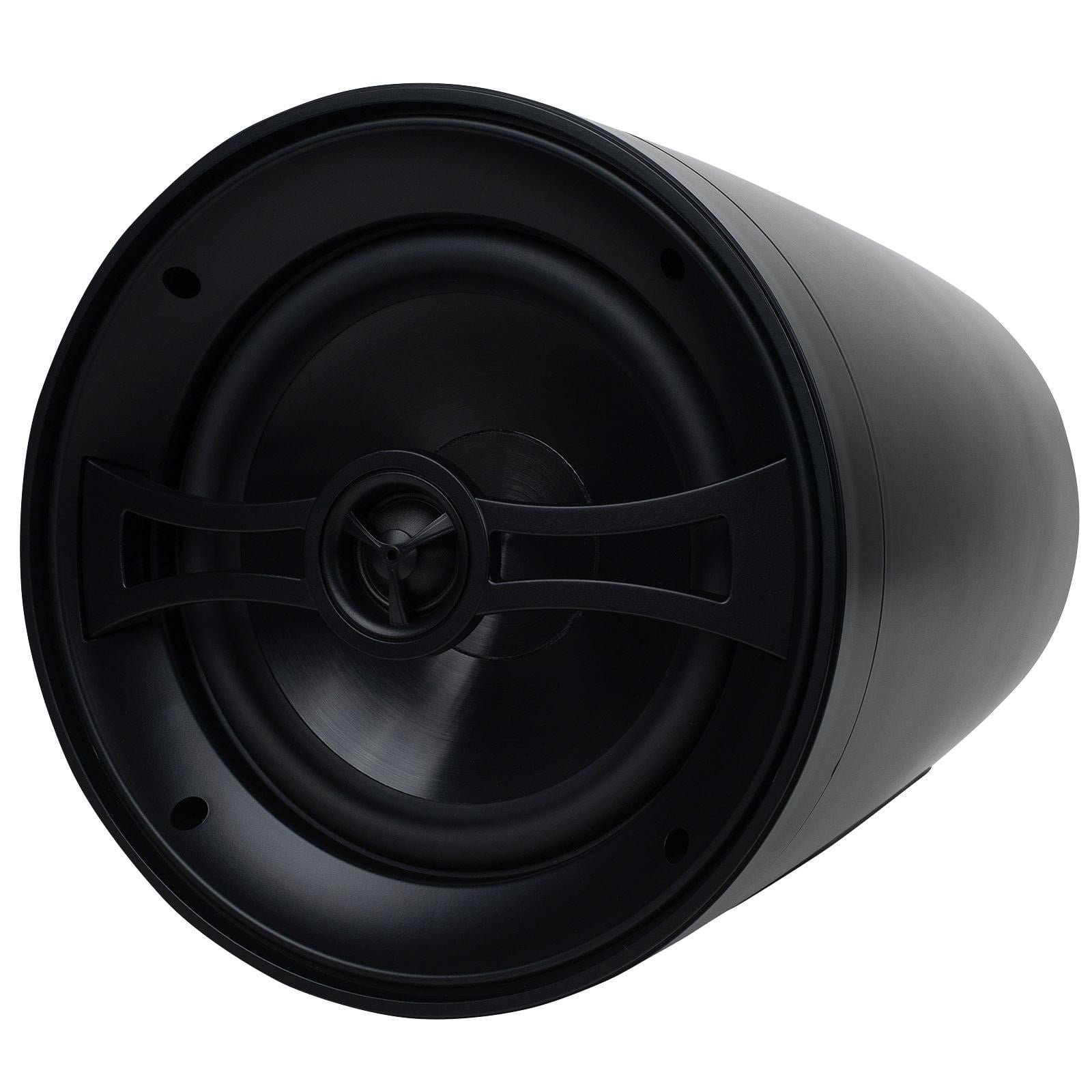 Dayton Audio WP80XTB Pendant Speaker
