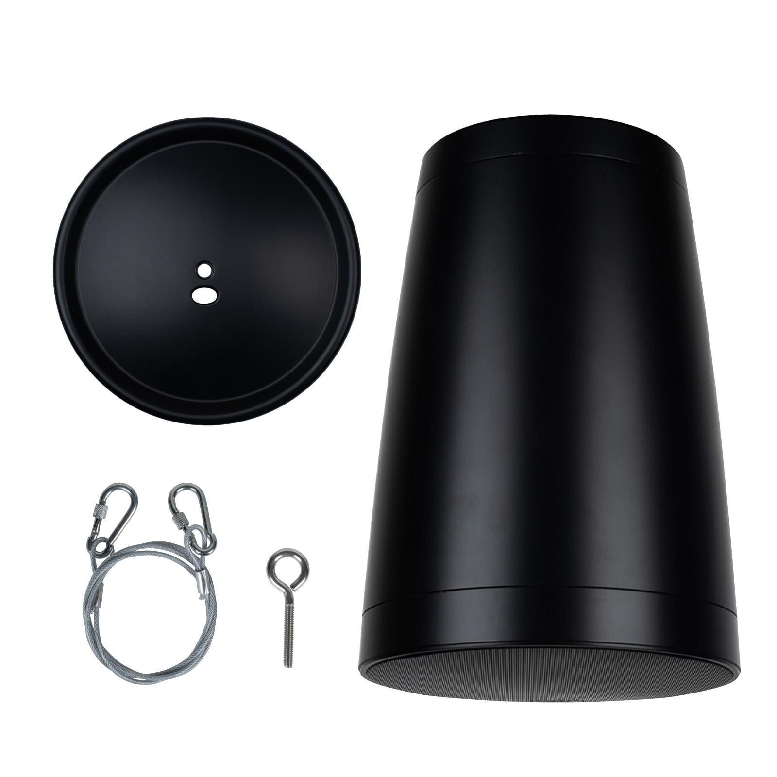 Dayton Audio WP80XTB Pendant Speaker