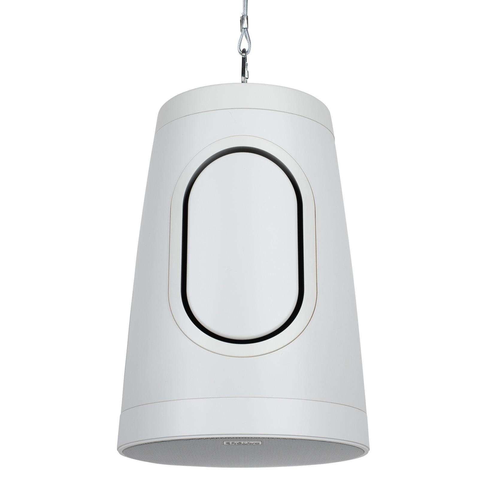 Dayton Audio WP80XTW Pendant Speaker