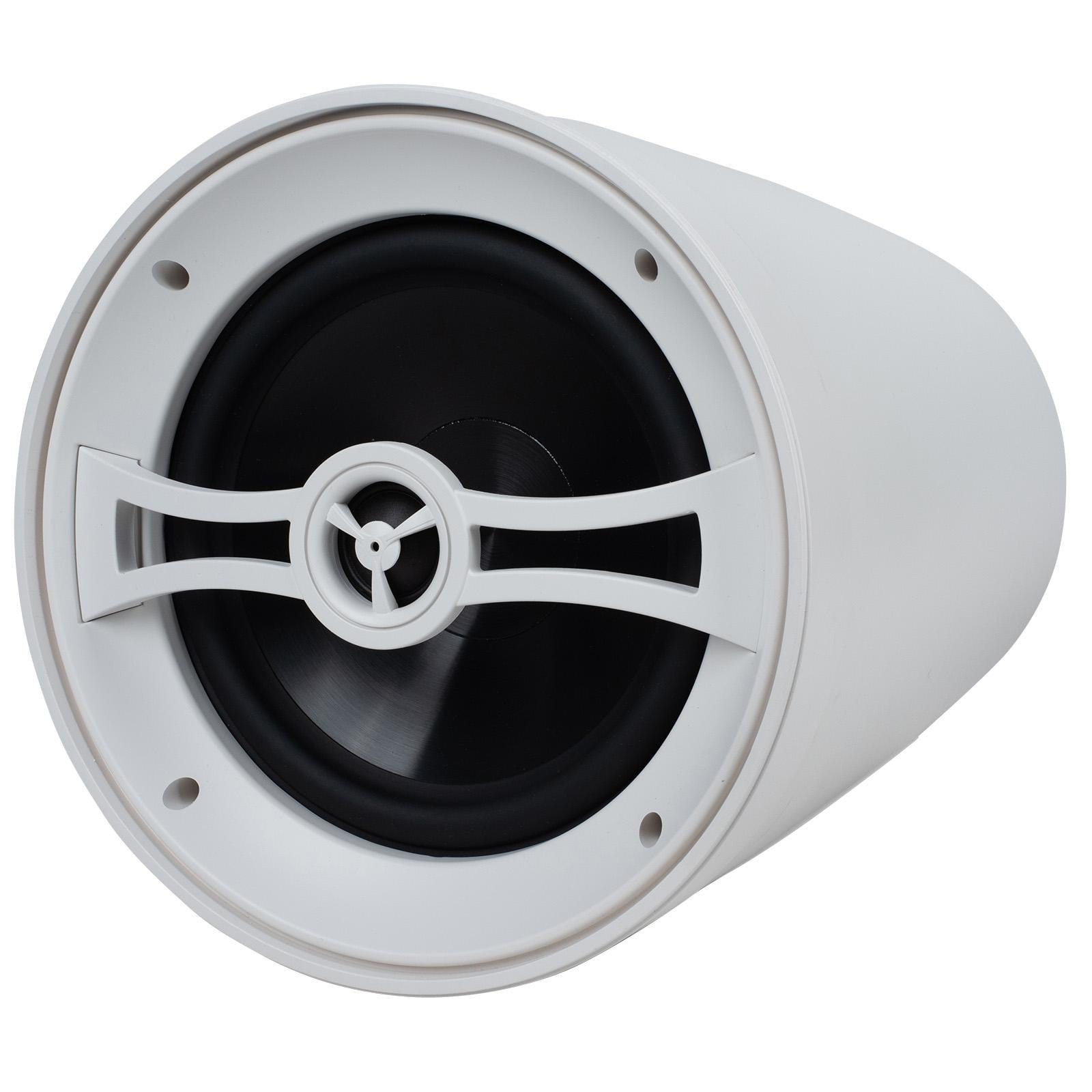 Dayton Audio WP80XTW Pendant Speaker