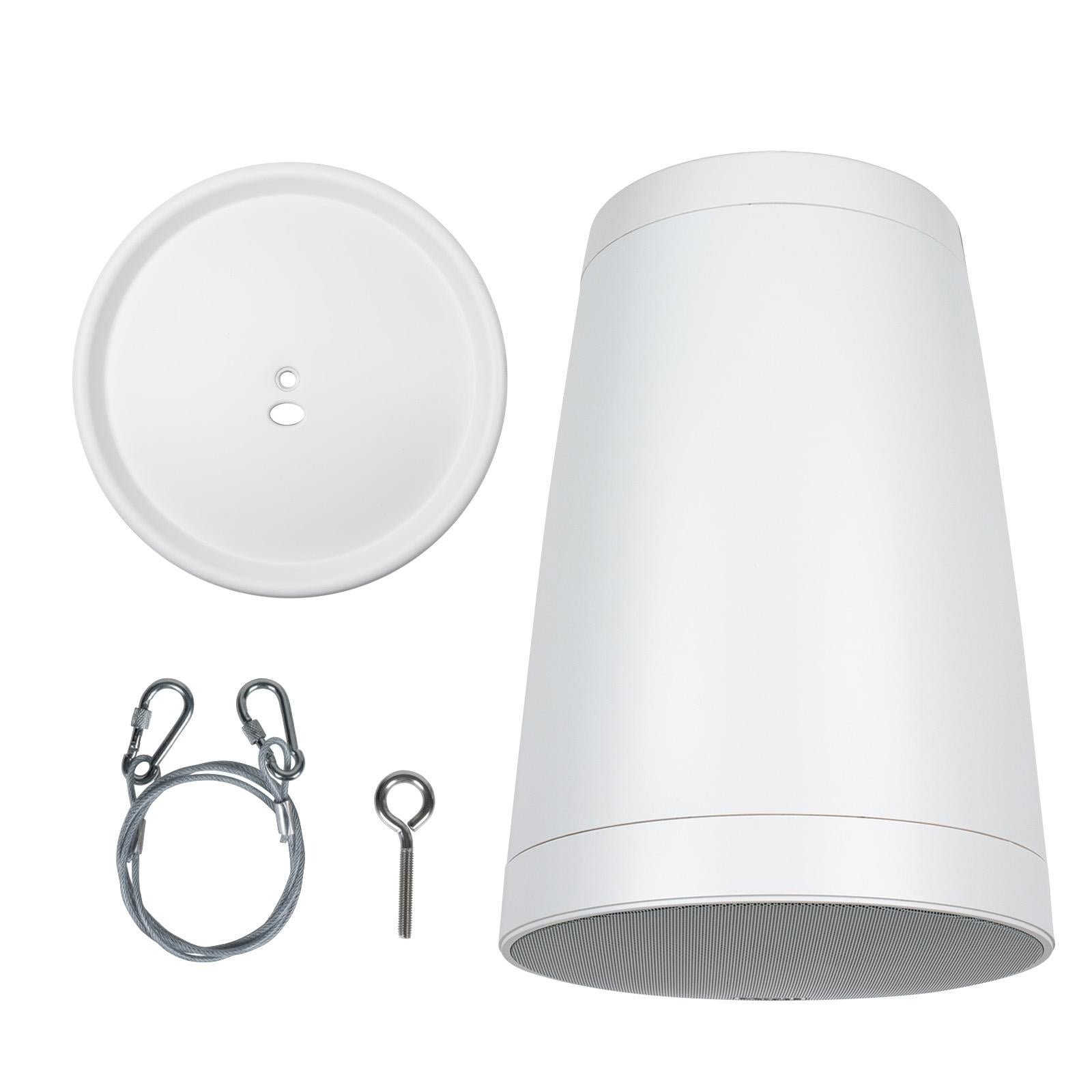 Dayton Audio WP80XTW Pendant Speaker