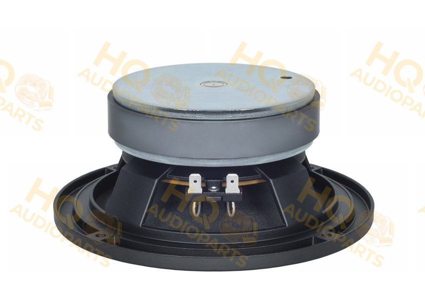 B&C Speakers Hangszóró 6PEV13, 8 Ω, 120 W