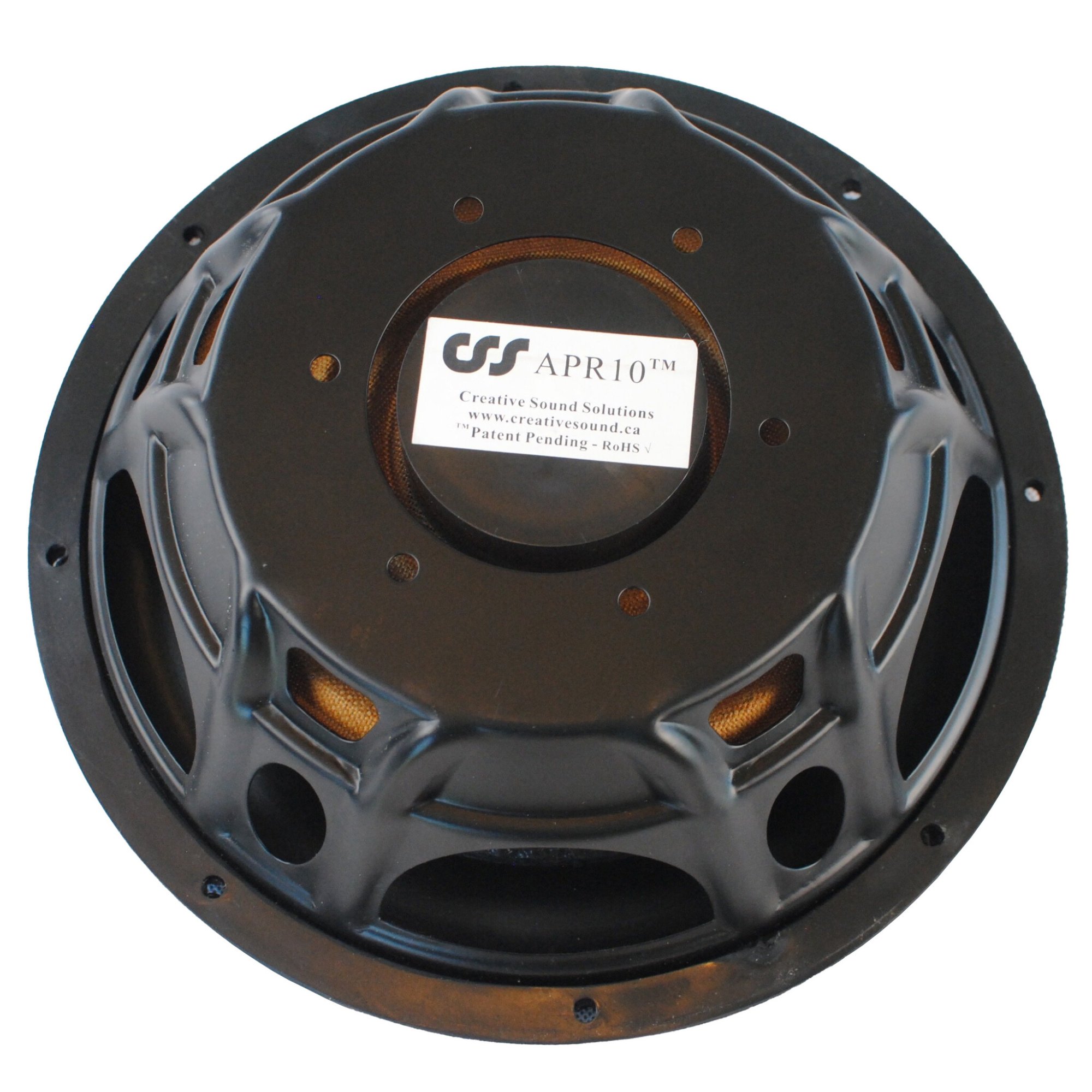 CSS APR10 Passive Radiator