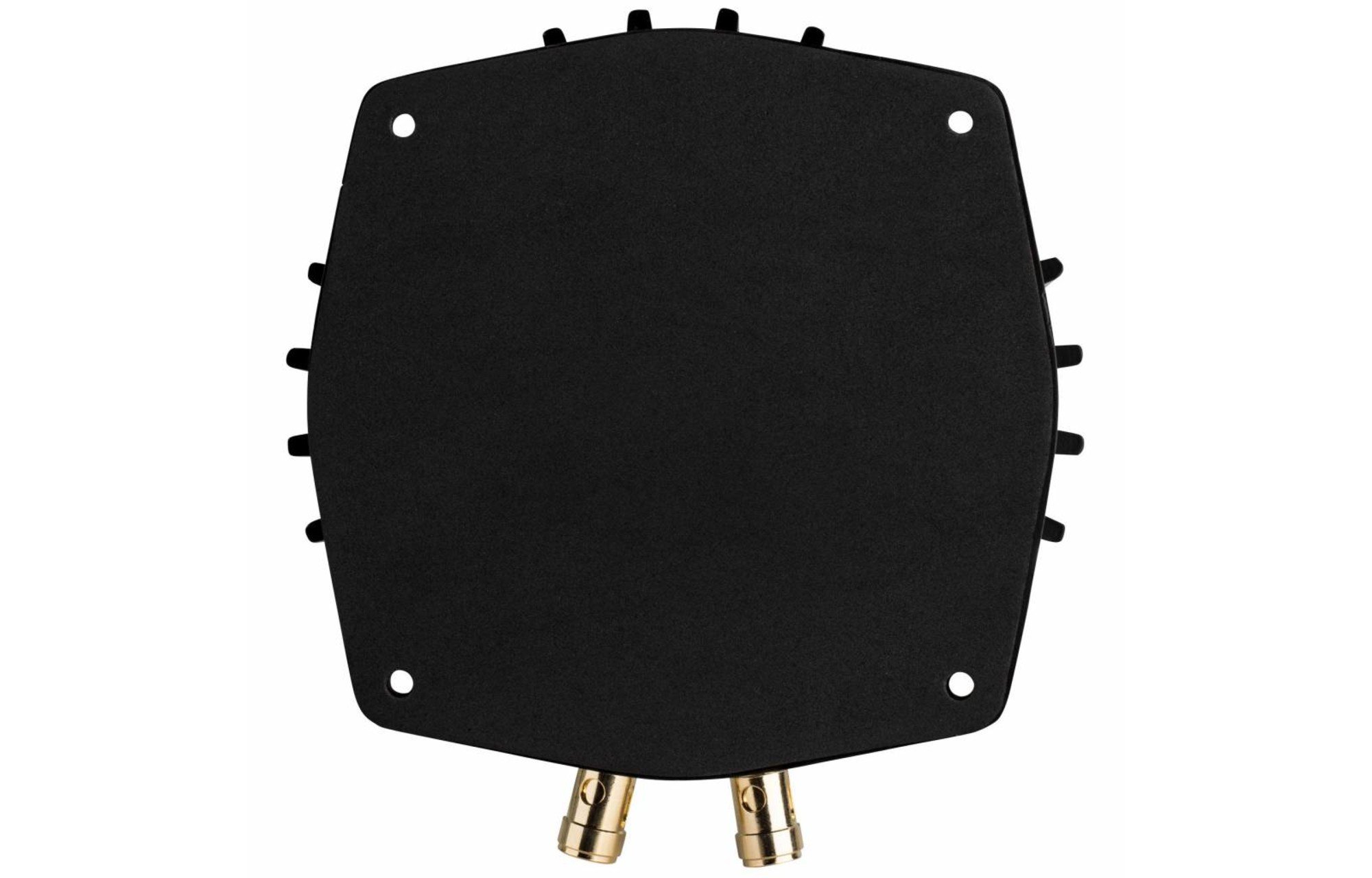 Dayton Audio BST-1 50 watt rezonátor