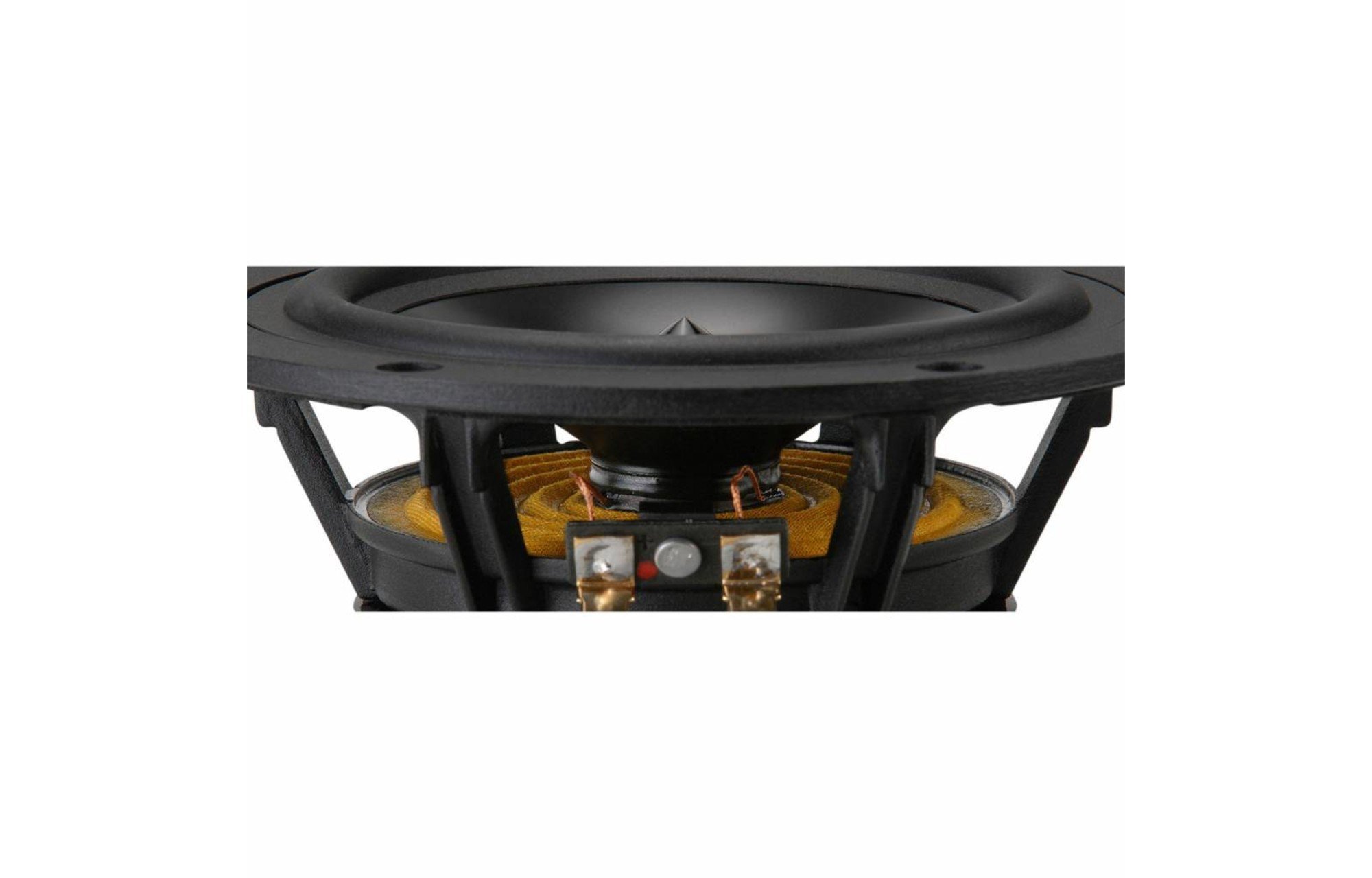 Dayton Audio RS150-8 6" Reference mélysugárzó