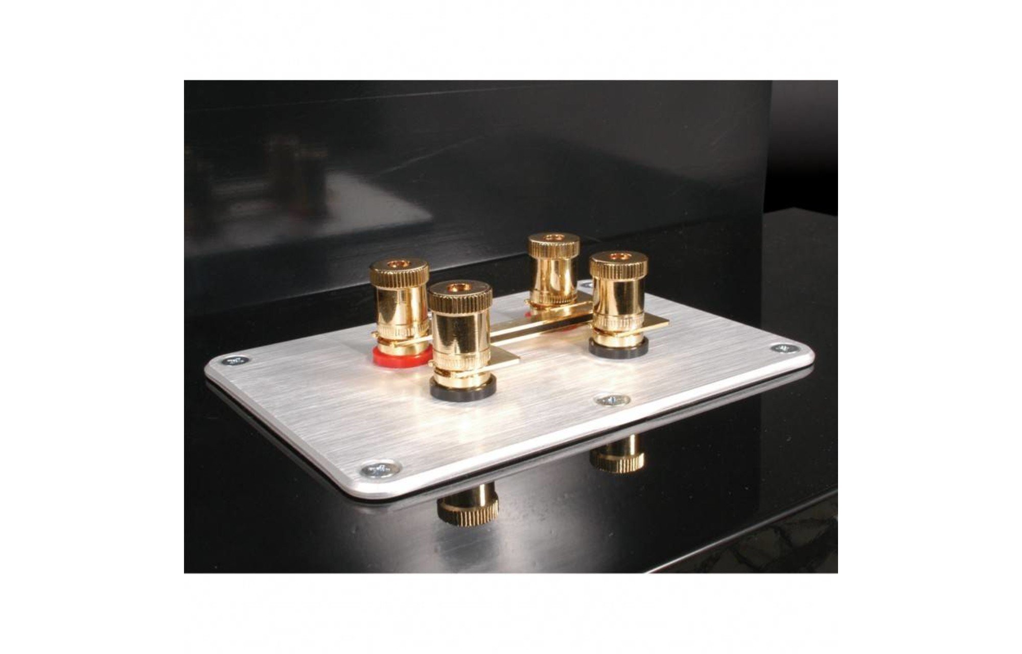 Dayton Audio SBPP-SI ezüst eloxált csatlakozóhátlap
