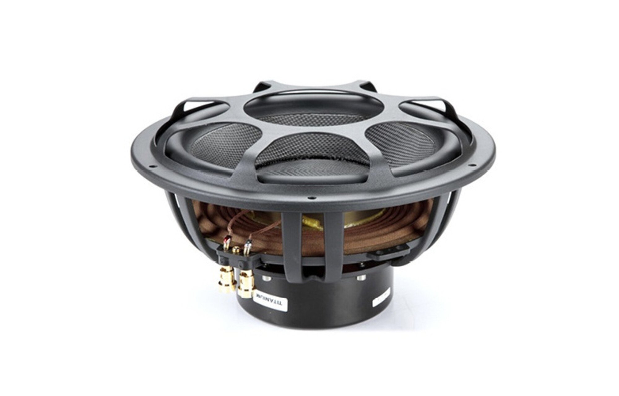 Morel Octopus-Grill-6.5