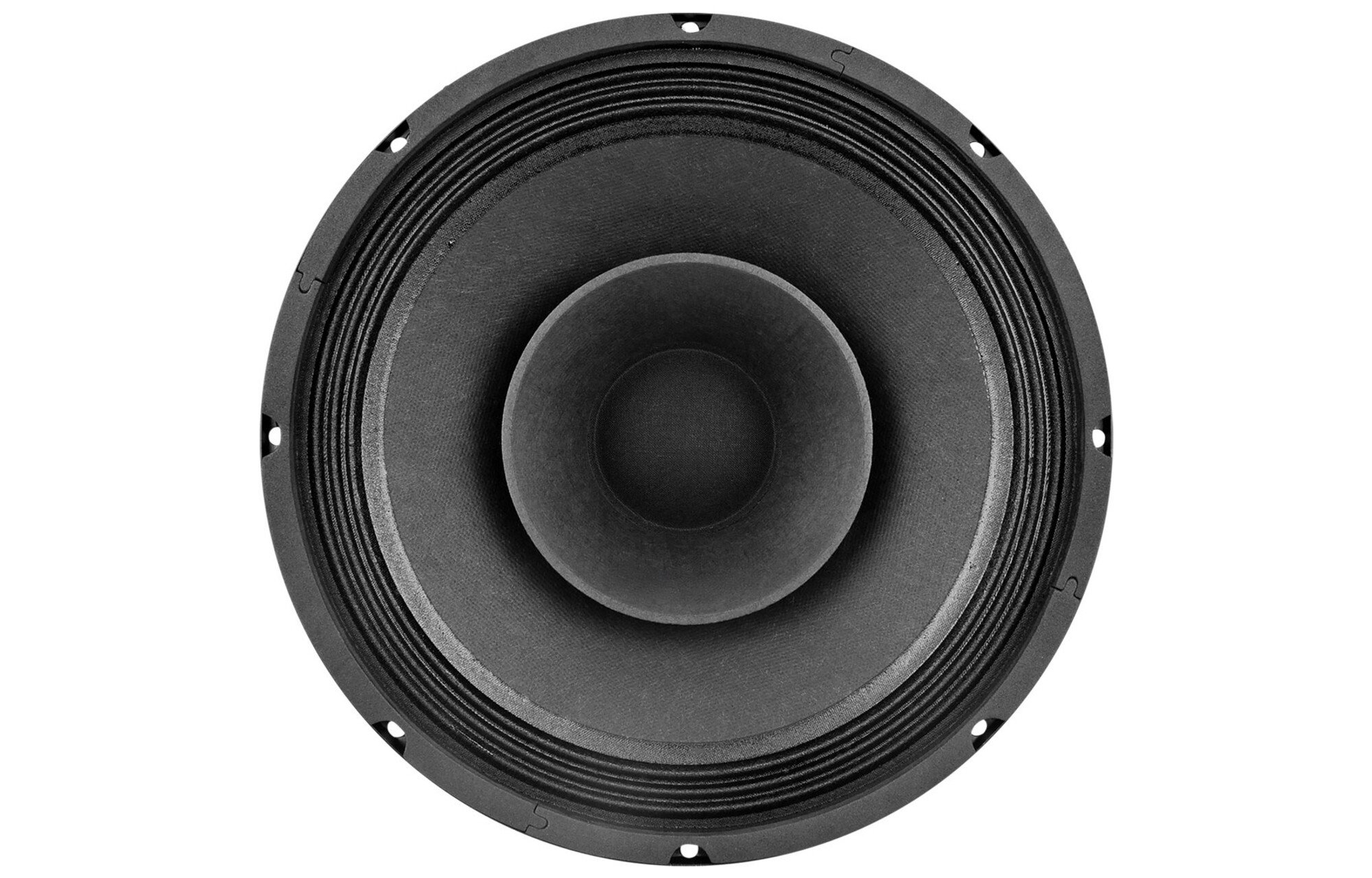 PRV Audio 10FR300 teljes tartományú mélysugárzó