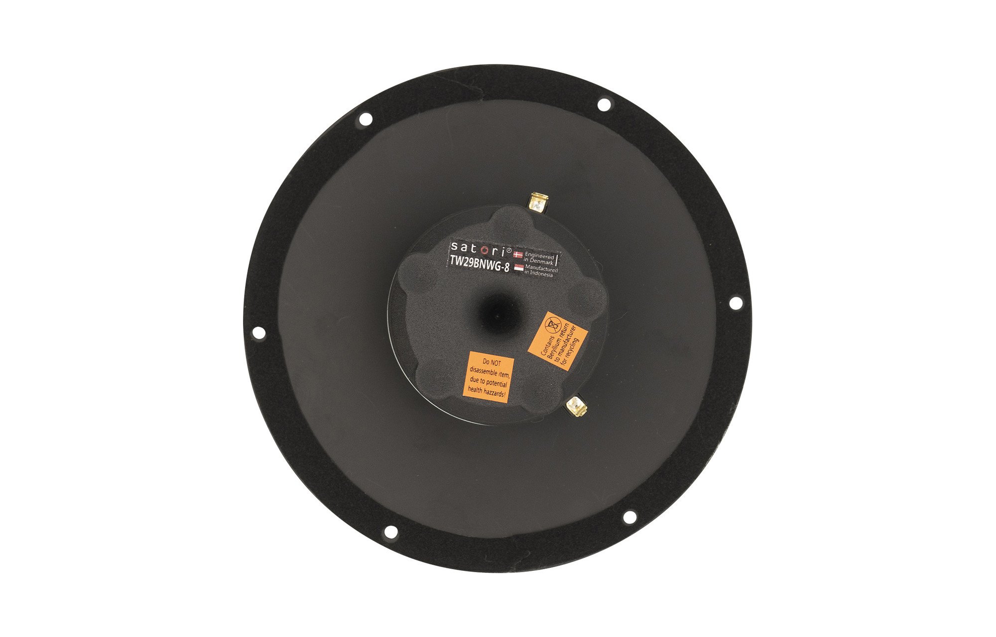 SB Acoustics Satori TW29BNWG-8 dómsugárzó