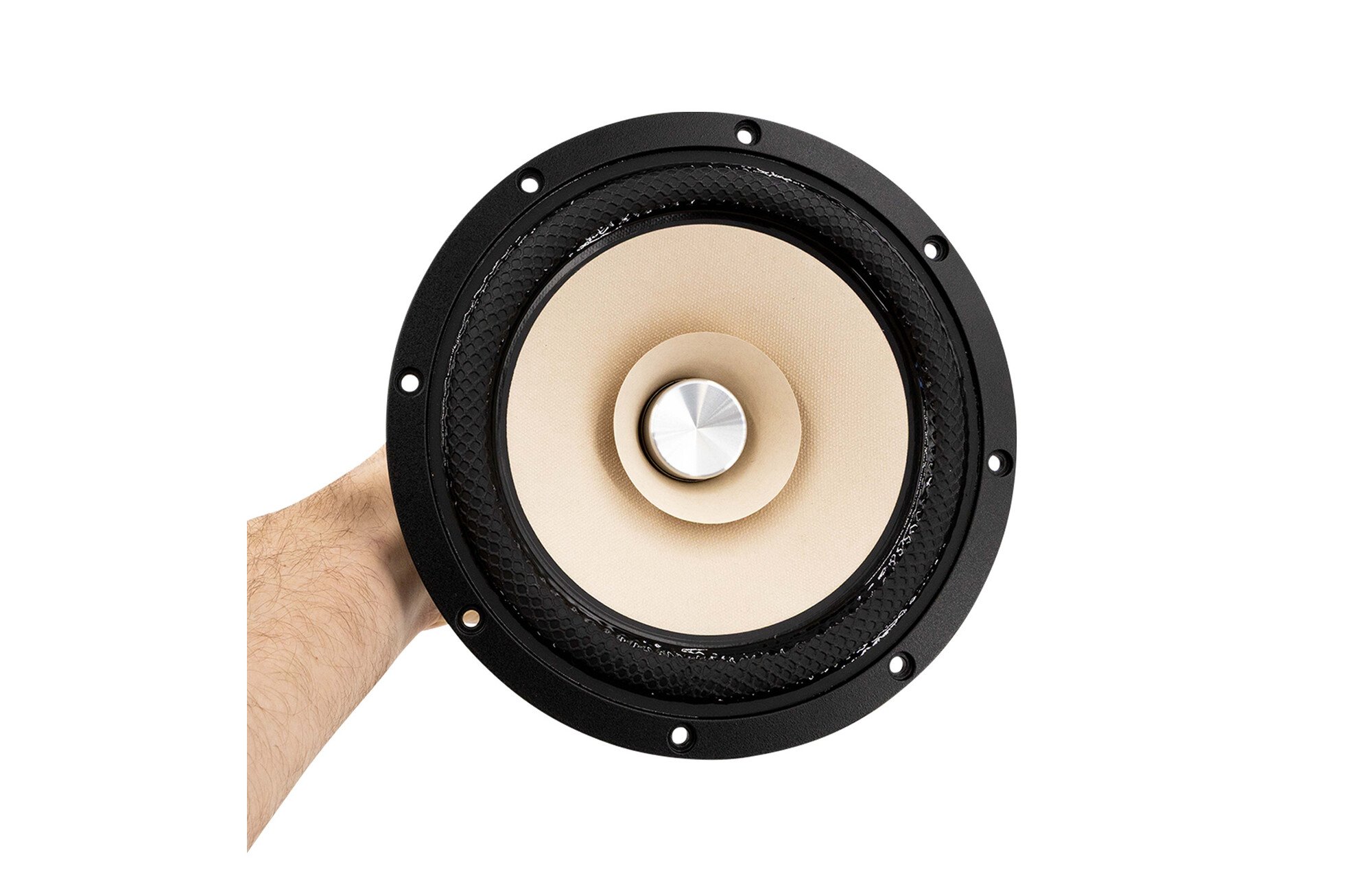 Tang Band W8-2145 8" papír kónusz szélessávú meghajtó 8 Ohm