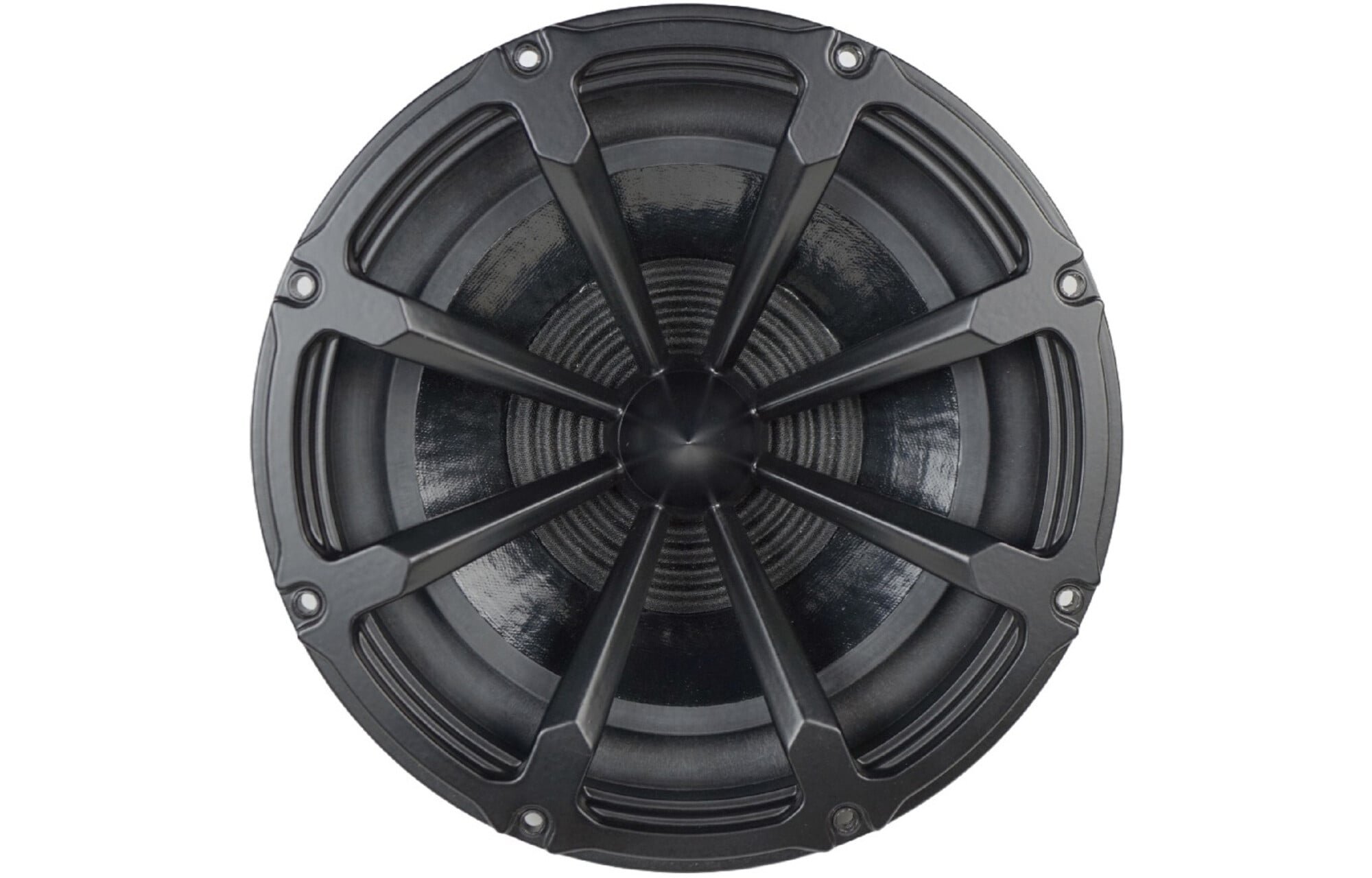 Volt Loudspeakers RV2550 submélysugárzó