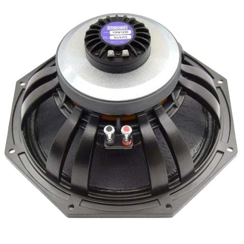 Radian Audio 12CRF6430 Coaxial Woofer